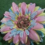 Marlene Stout - Facebook