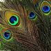 Marlene Stovall - Facebook