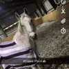 Marlen Stöver - @lenistoevi - TikTok