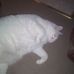 Marlene Stover - Facebook