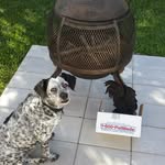 Marlene Strader - @straderwood2 - Instagram