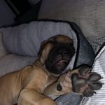 Marlene Joy Struthers - @marlenejoystruthers - Instagram