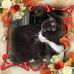 Marlene Stubbs - Facebook
