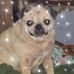 Marlene Stubbs - Facebook