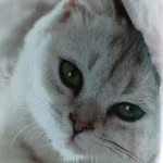 Marlene Stuckey - @marlene.stuckey.50 - Instagram