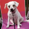 marleneswanger - @marleneswanger - TikTok