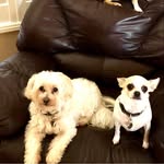 Marlene Sweeney - @marlenesweeney9 - Instagram