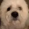 marlenesweeney265 - @marlenesweeney265 - TikTok