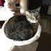 Marlene Severson - Facebook