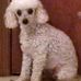 Earl N Marlene Tackett - Facebook