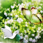 Marlene Taggart - Facebook