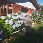 Marlene Tejeda - @marlene.tejeda.524 - Instagram