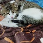 Marlene Tejeda - @marlene_tejeda.520 - Instagram