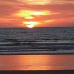 Marlene Althoff Terry - @terry.marlene - Instagram