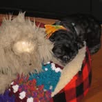 Marlene Thayer - Facebook
