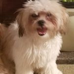 Marlene Cawthorne - @cawthornemarlene - Instagram