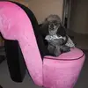 Marlene Thorne793 - @marlenethorne - TikTok