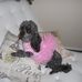 Marlene Thorne - Facebook