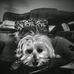 Marleen Thrasher - Facebook