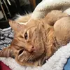 Marlene Tobar Gonzalez - @marlene.tobar.gon - TikTok