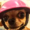 marlenetobar775 - @marlenetobar775 - TikTok