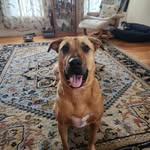 Marlene Tobin - @marlenetobin127 - Instagram