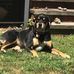 Marlene Tobin - Facebook