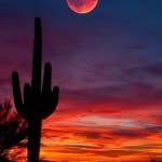 Marlene Townsend Williams - @lwhitmire49 - Instagram