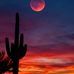 Marlene Townsend Williams - Facebook