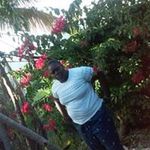 Marlene Turner - @marleneturner5929 - Instagram