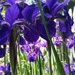 Marlene Unger - @ungermarlene - Instagram