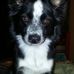 Marlene Younger - Facebook