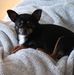 Marlene Younger - Facebook