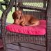 Marlene Wall - Facebook