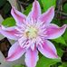 Marlene Walsh - Facebook