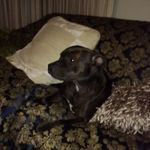 Marlene Walsh - @marlene.walsh.3720 - Instagram