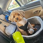Marlene Walton - @marwalton20 - Instagram