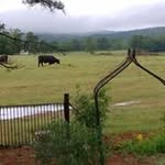 Marlene Ward - @marlene.ward.10888 - Instagram