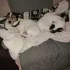 Marlene Ward - @marlene.ward4 - TikTok