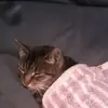 Marlene Ward - @marlene.ward19 - TikTok