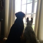 Marlene Ware - @marpware - Instagram