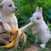 ORGANIC FARM - @marlenewarner1962 - TikTok