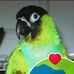Marlene Weinstein - Facebook