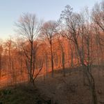 Marlene Weinstein - @mweins54 - Instagram