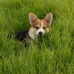 Marlene Weir - @weir_marlene13 - Instagram