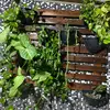 Marlene - @marleneweiss06 - TikTok