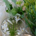 Marlene Weiss | Blumendekorationen | Schmuck | Sulz - @blumendekorationenmarleneweiss - Instagram