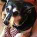 Marlene Weisman - Facebook