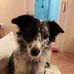 Marlene Wells - Facebook