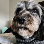 Marlene Wells Radzik - @marleneradzik - Instagram